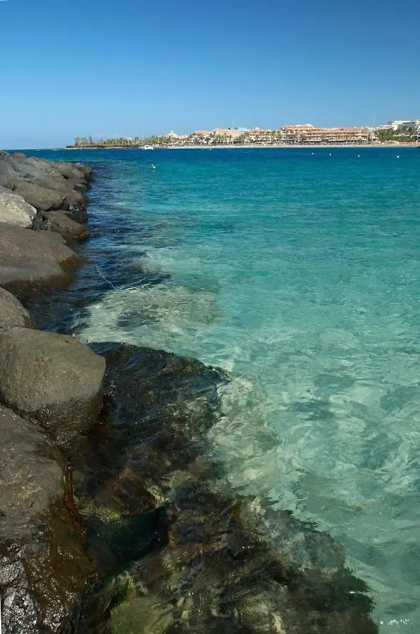 Apto centrico y a pie de playa en los cristianos 0*, Los Cristianos (Tenerife)